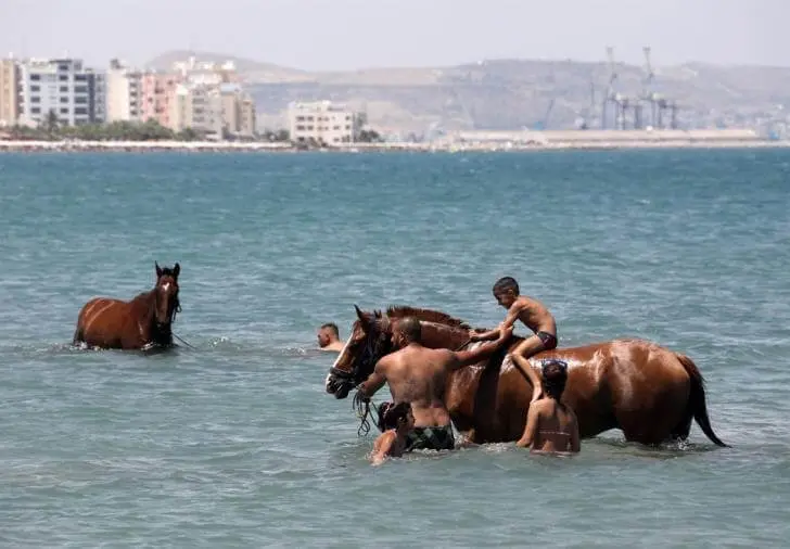 άλογα στη θάλασσα